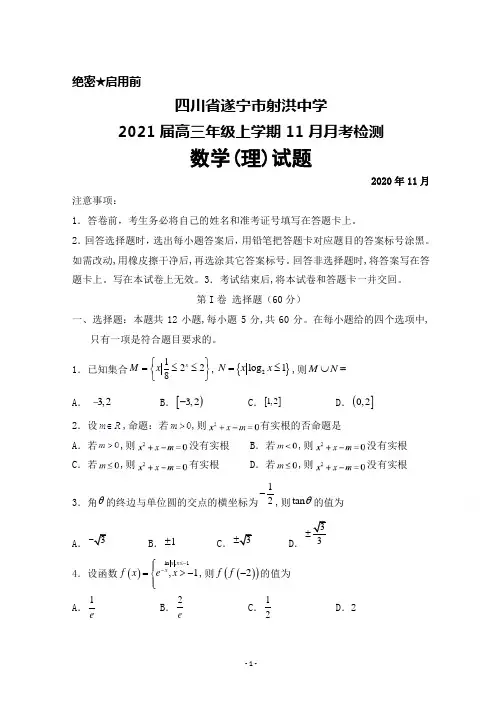四川省遂宁市射洪中学2021届高三年级上学期11月月考数学(理)试题试题及答案