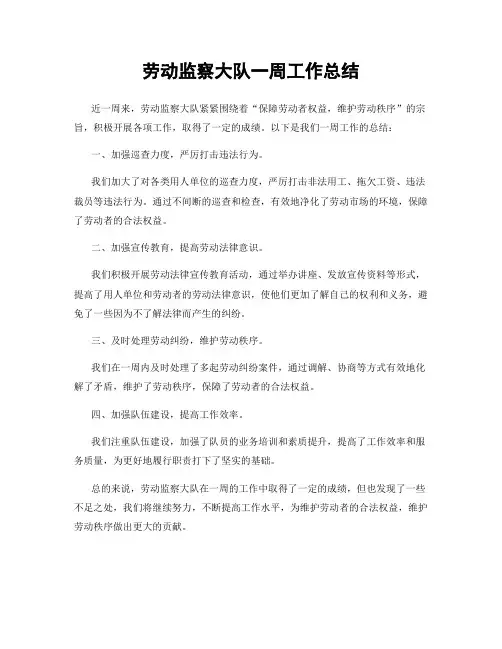 劳动监察大队一周工作总结