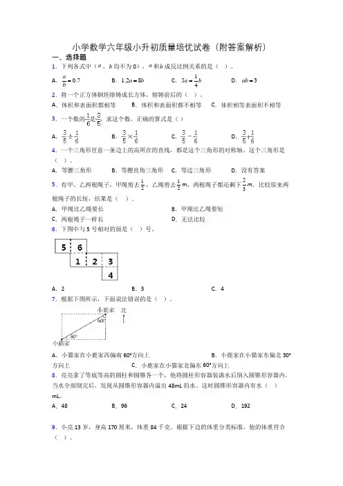 小学数学六年级小升初质量培优试卷(附答案解析)