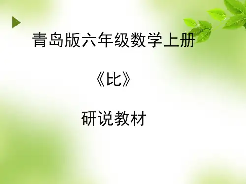 人体的奥秘--比研说教材课件