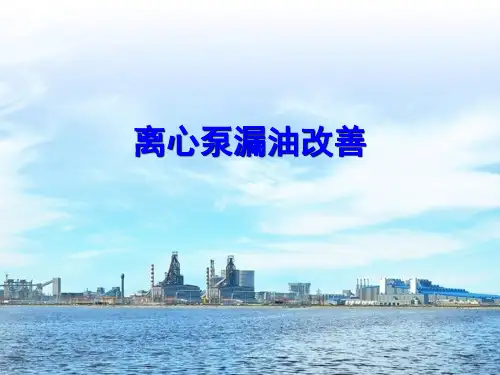 离心泵漏油改善