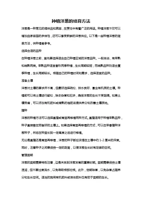 种植洋葱的培育方法