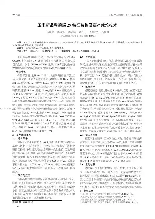玉米新品种德瑞29特征特性及高产栽培技术