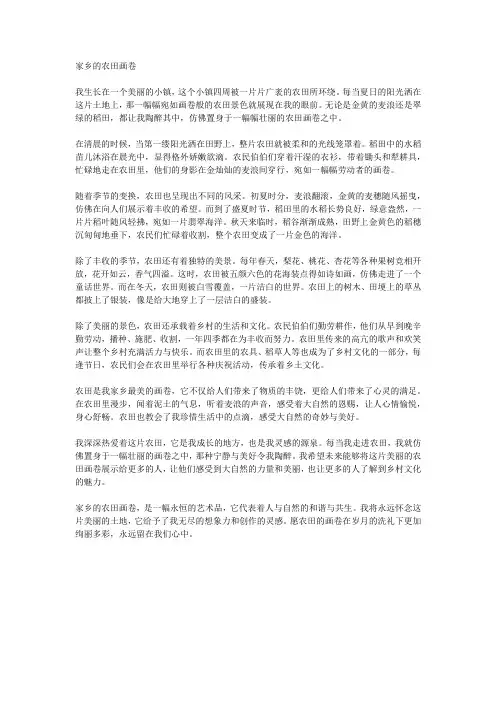 家乡的农田画卷