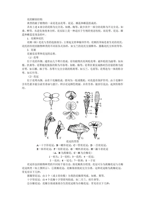 花的解剖结构详解