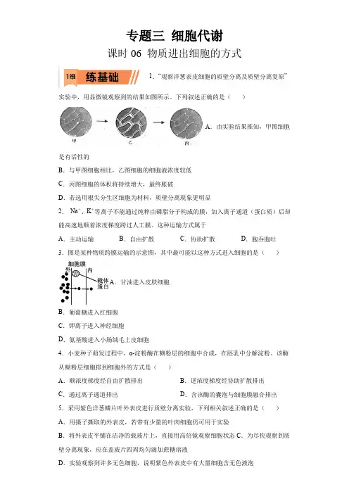 2023年高考等级考生物一轮复习多维练(全国通用)06 物质进出细胞的方式(含详解)