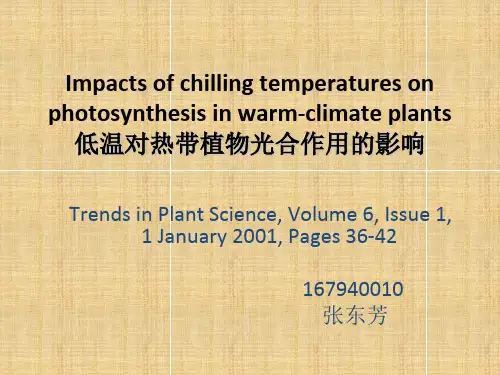 植物生理学论文--低温对植物光合作用的影响.
