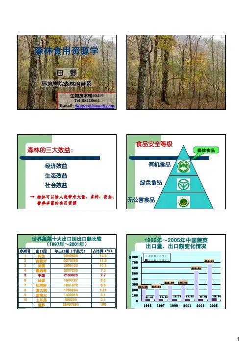 森林食用资源学课件