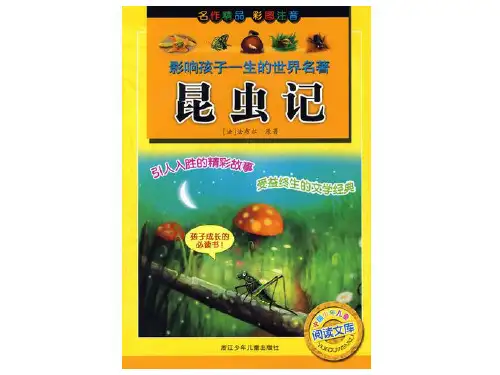 《毛毛虫的故事》课件