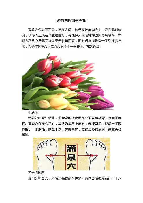 道教叫你如何养肾