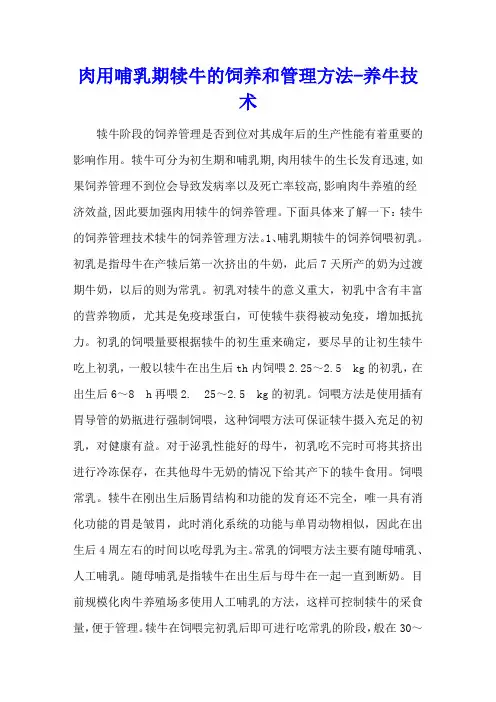 肉用哺乳期犊牛的饲养和管理方法 - 养牛技术
