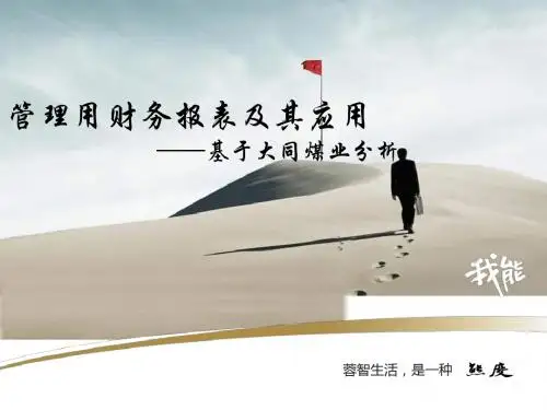 管理用财务报表