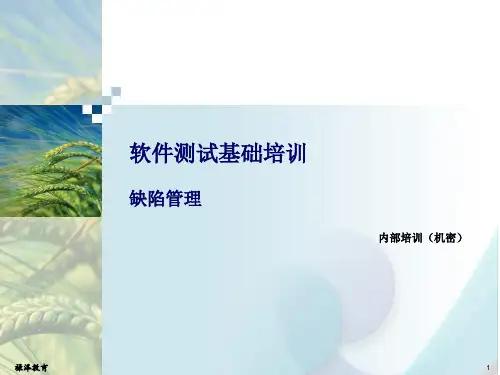 缺陷管理ppt课件