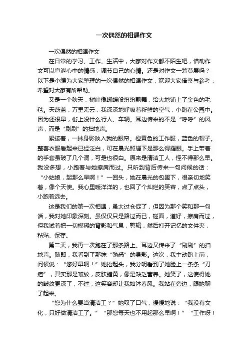 一次偶然的相遇作文
