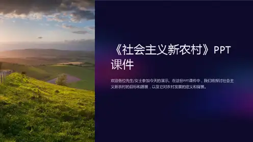 《社会主义新农村》课件