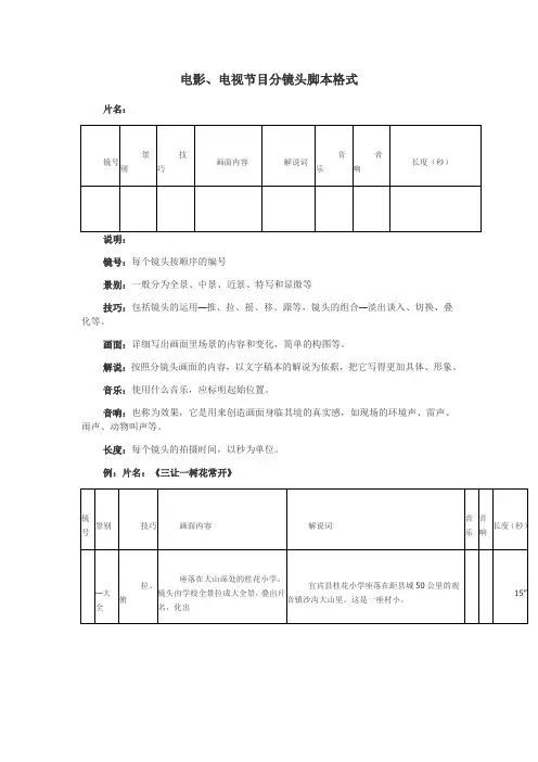 分镜头格式脚本及名词解释