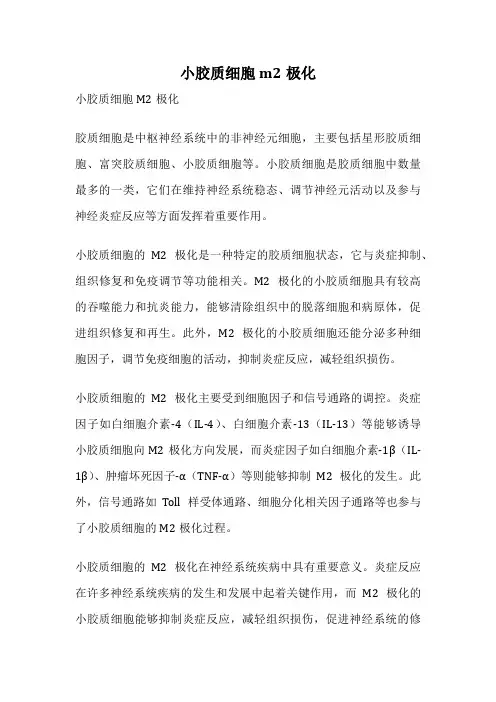 小胶质细胞m2极化