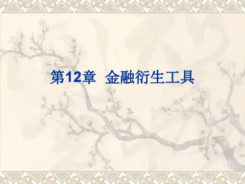 第12章  金融衍生工具简介共32页