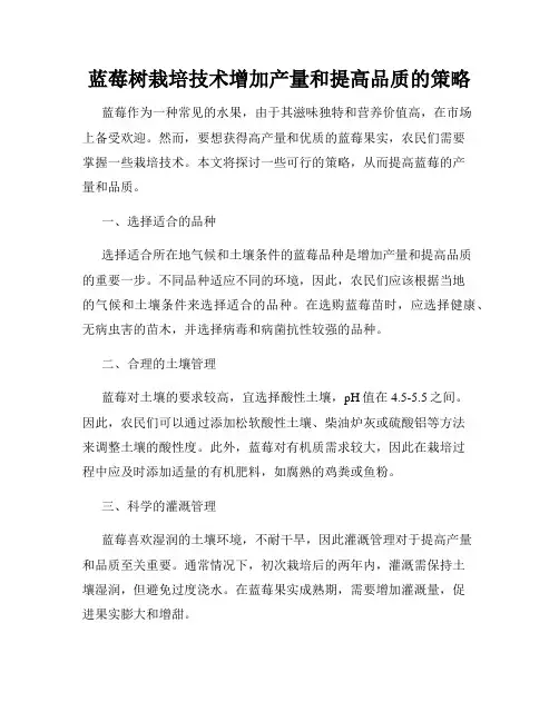 蓝莓树栽培技术增加产量和提高品质的策略