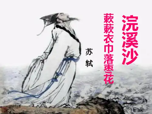 苏轼《浣溪沙》PPT课件