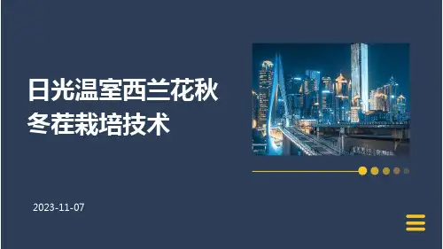 日光温室西兰花秋冬茬栽培技术