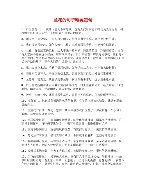 兰花的句子唯美短句