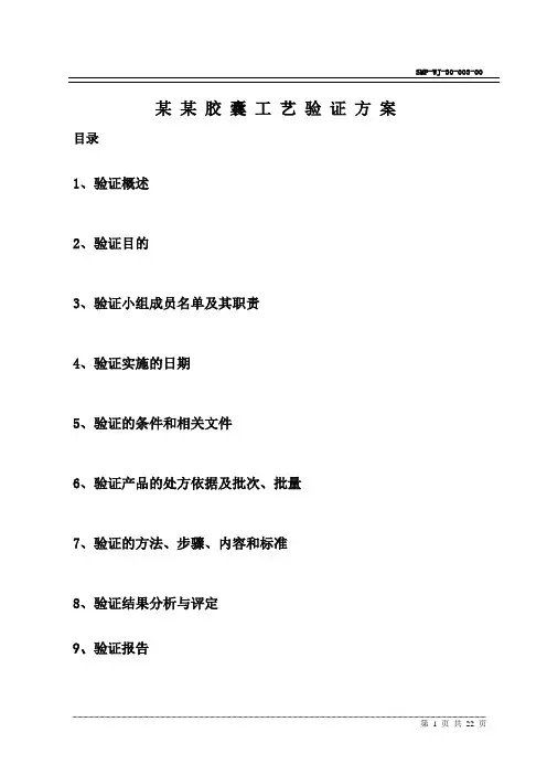 某某胶囊工艺验证