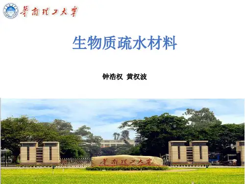 生物质超疏水材料解读