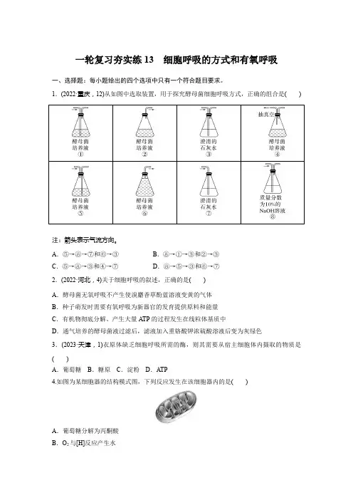 高三生物一轮复习夯实练13：细胞呼吸的方式和有氧呼吸