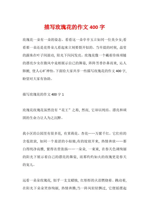 描写玫瑰花的作文400字