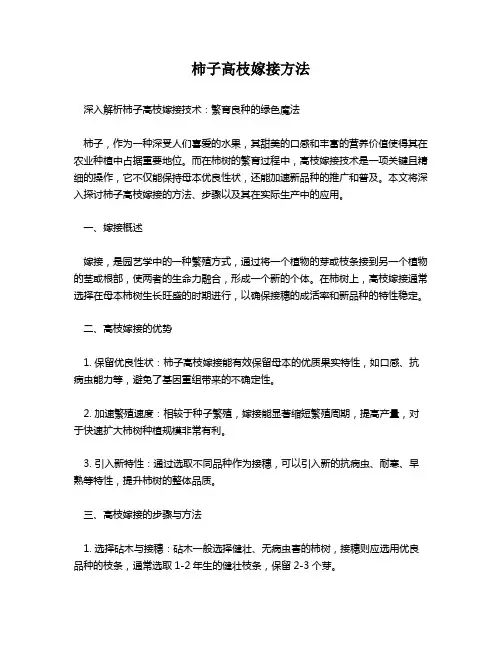 柿子高枝嫁接方法