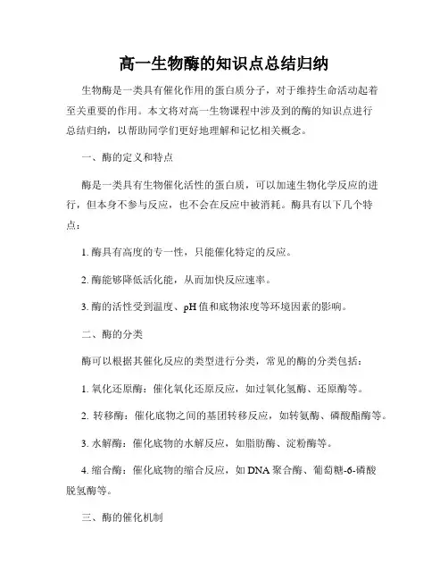 高一生物酶的知识点总结归纳