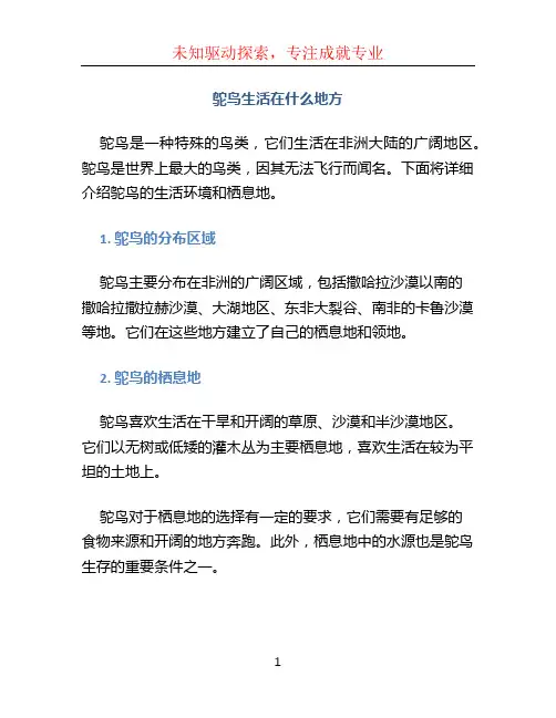 鸵鸟生活在什么地方