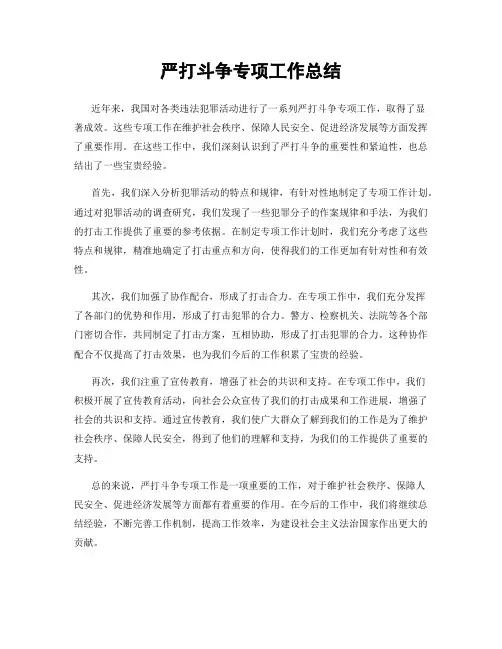 严打斗争专项工作总结