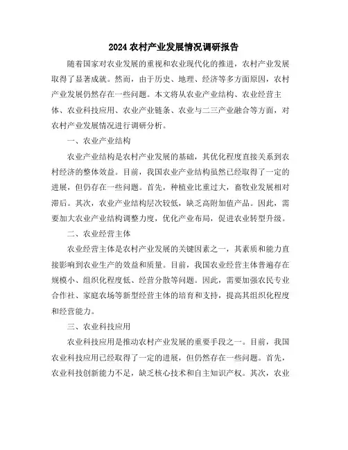2024农村产业发展情况调研报告