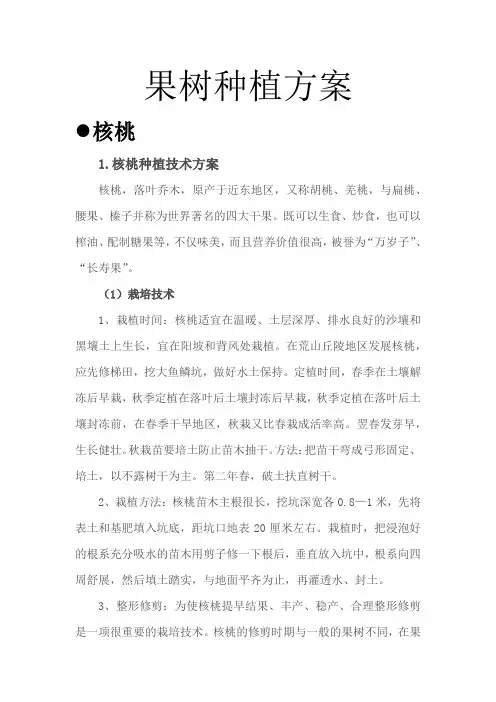 果树种植方案