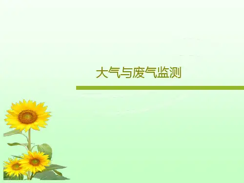 大气与废气监测173页PPT
