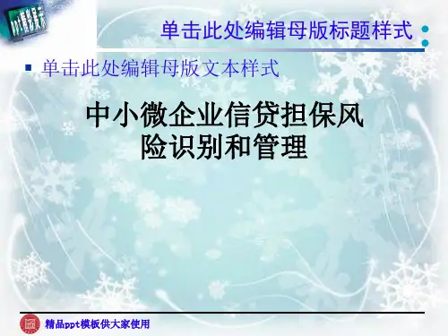 中小微企业信贷担保风险识别和管理