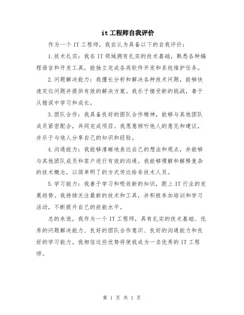 it工程师自我评价