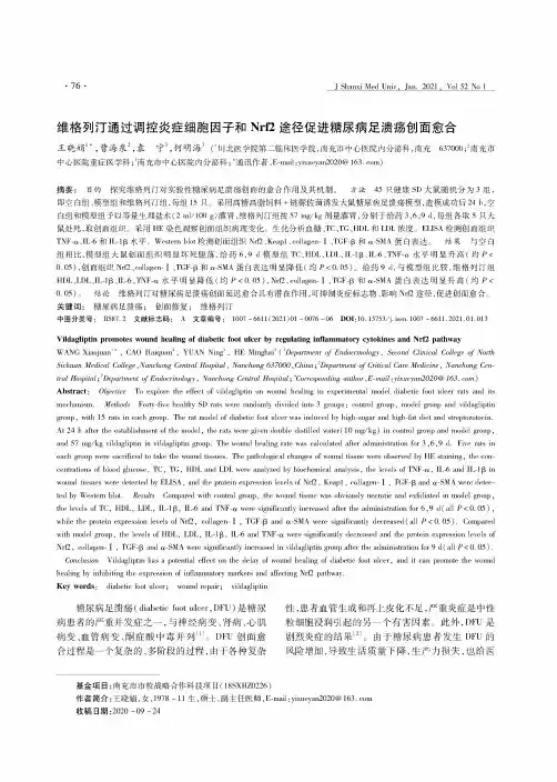 维格列汀通过调控炎症细胞因子和Nrf2途径促进糖尿病足溃疡创面愈合