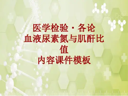 医学检验·检查项目：血液尿素氮与肌酐比值_课件模板