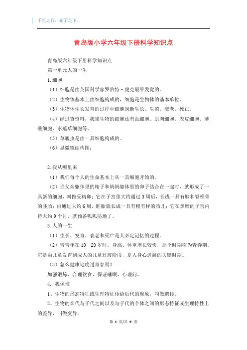青岛版小学六年级下册科学知识点