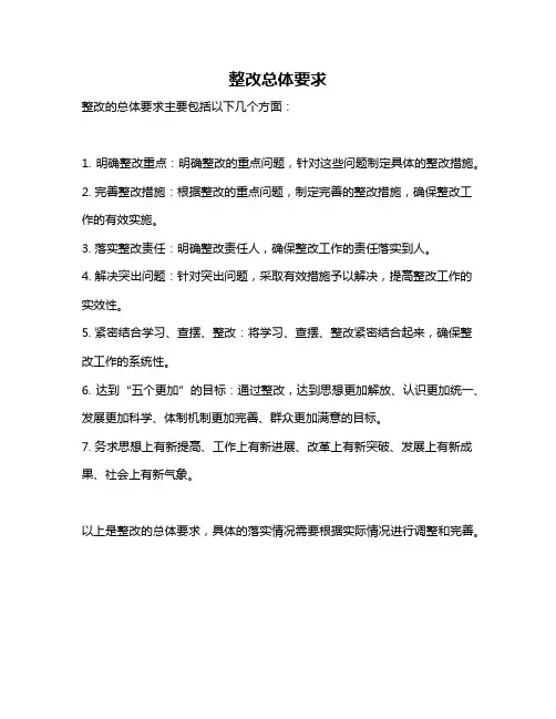 整改总体要求