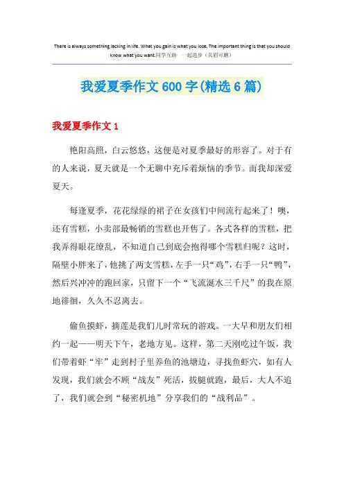 我爱夏季作文600字(精选6篇)