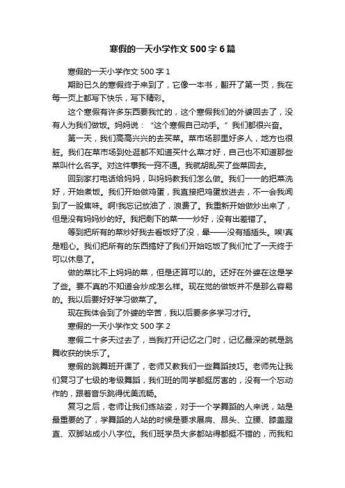 寒假的一天小学作文500字6篇