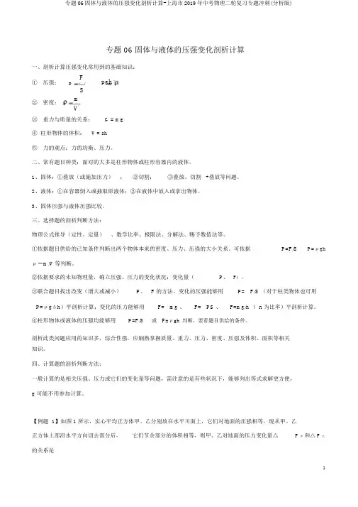 专题06固体与液体的压强变化分析计算-上海市2019年中考物理二轮复习专题冲刺(解析版)