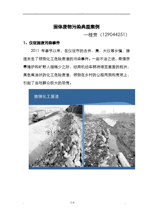 固体废物污染典型案例