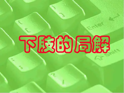 下肢的局解