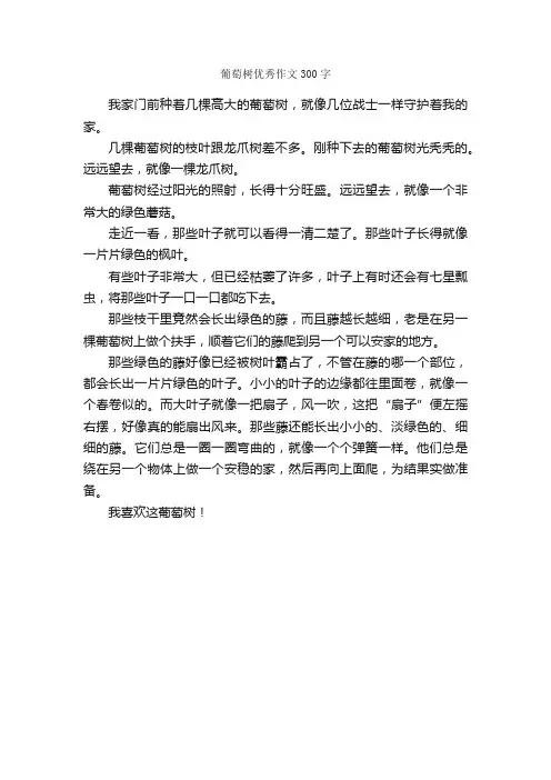 葡萄树优秀作文300字_描写水果的作文_