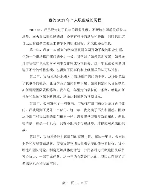我的2023年个人职业成长历程